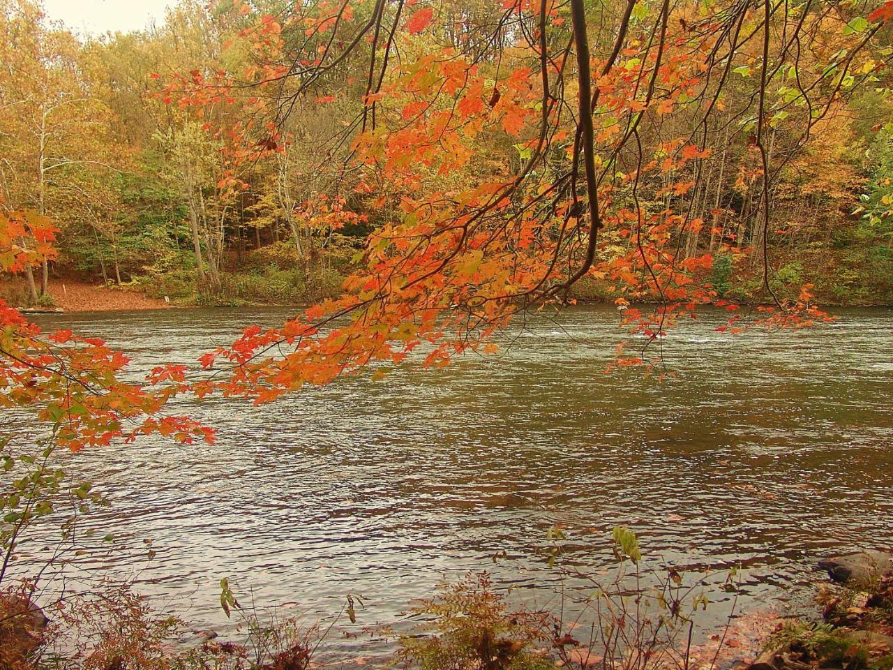 Вилла Paddler'S Lane Retreat Confluence Экстерьер фото